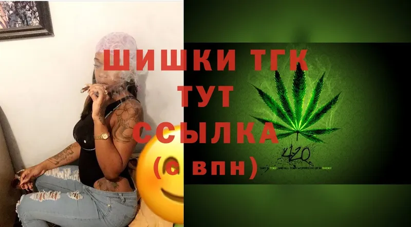 Канабис SATIVA & INDICA  гидра как войти  Новодвинск 