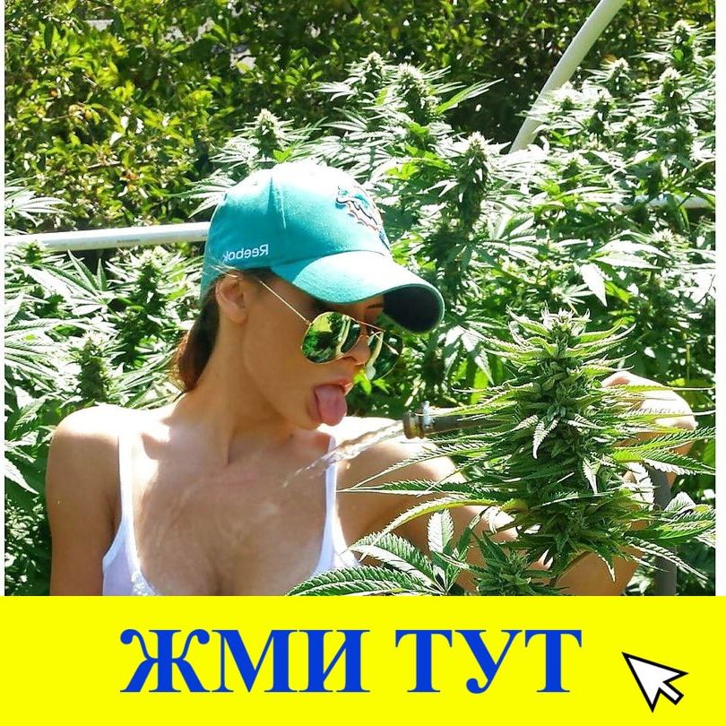 Купить наркотики в Новодвинске